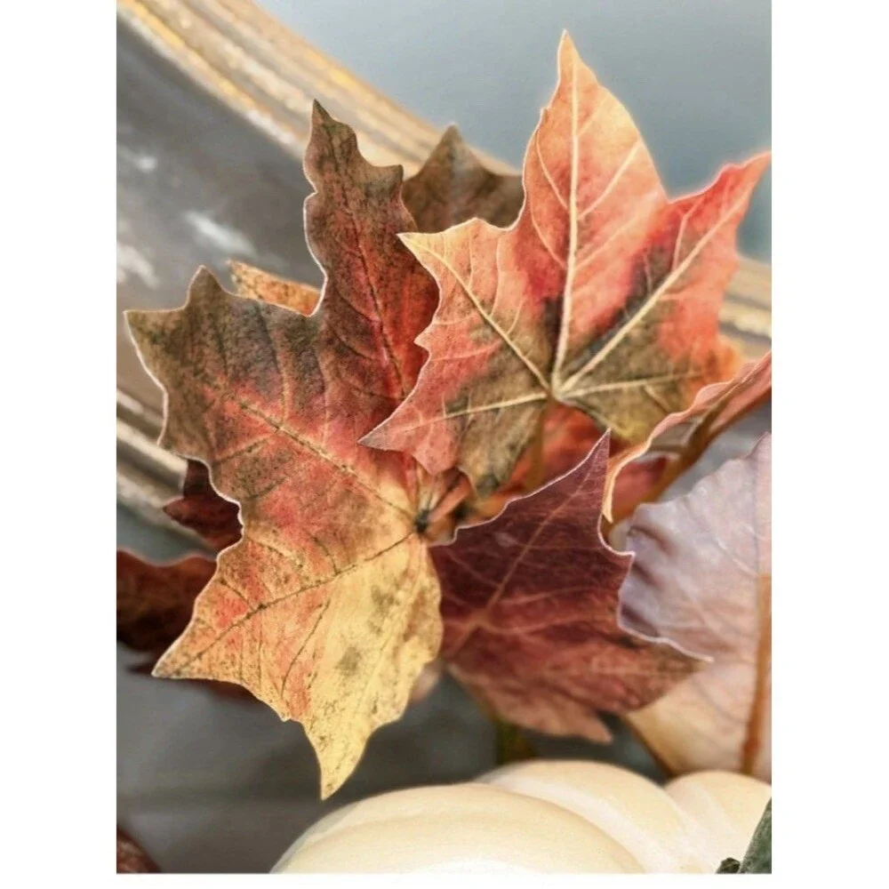Simply Stunning S/5 Real Touch Maple Leaf Picks - Natural
